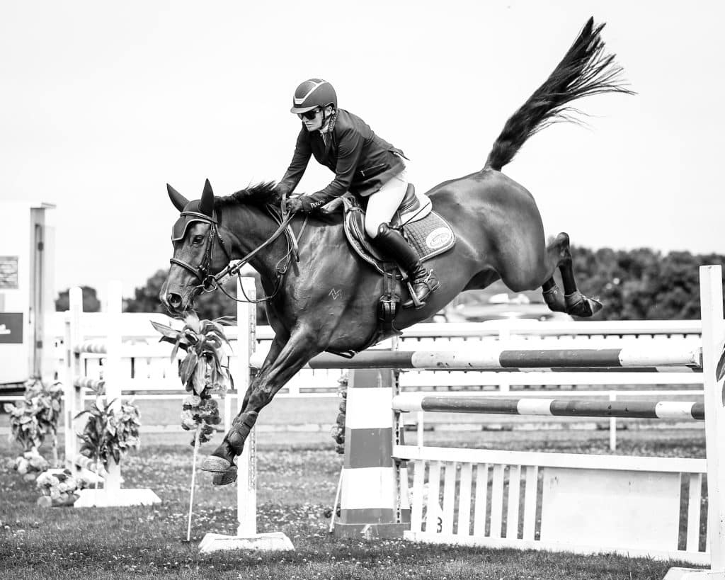 Helmet tagging FAQs for 1 August 2023 Oakridge Equestrian