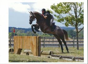Eventing at Clevedon