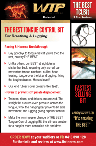 WTP Lugging Bit Flyer